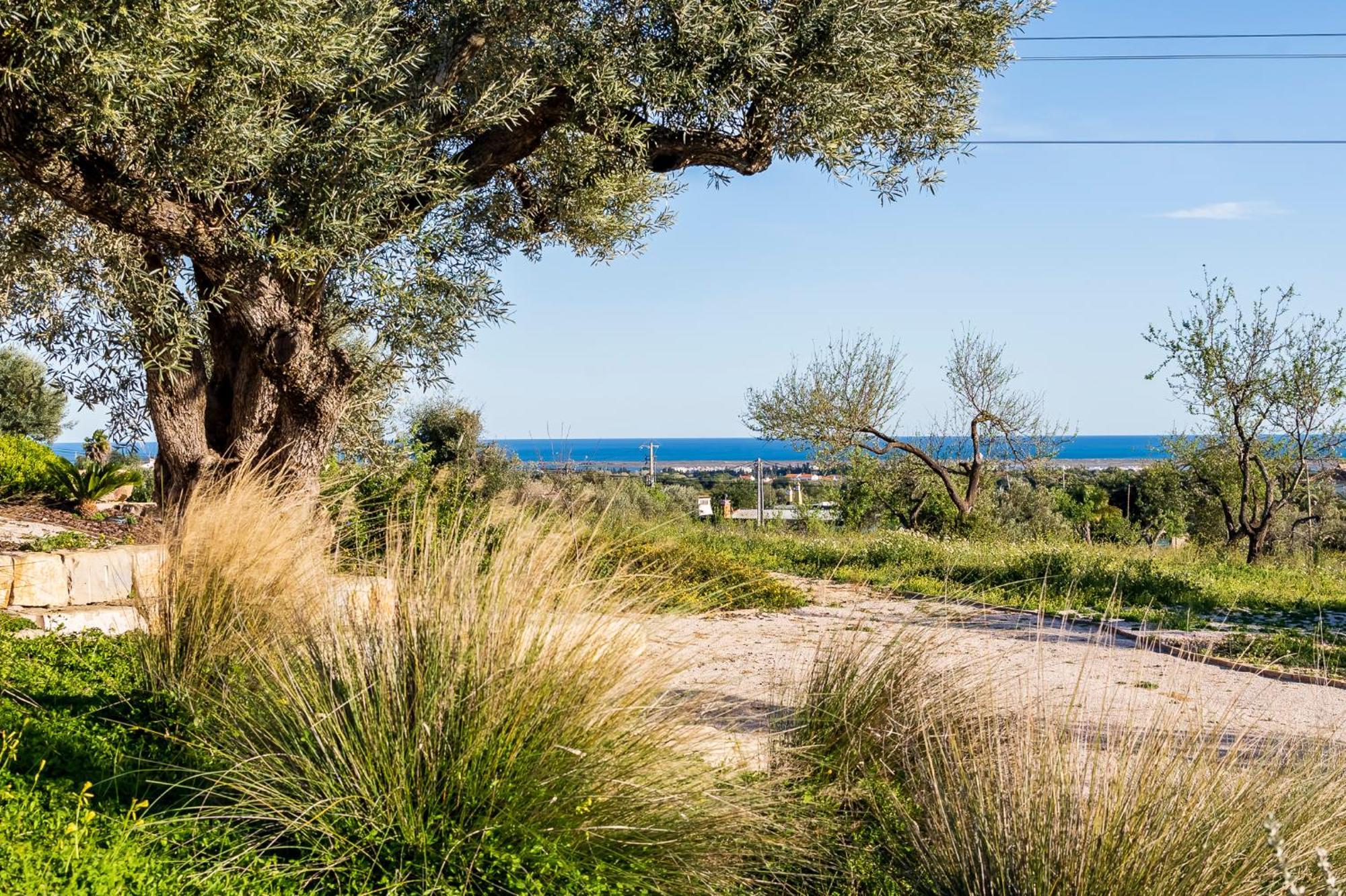 Quinta Da Baleeira Villa Tavira Luaran gambar